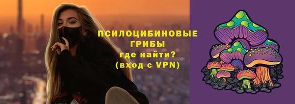 ешки Краснослободск