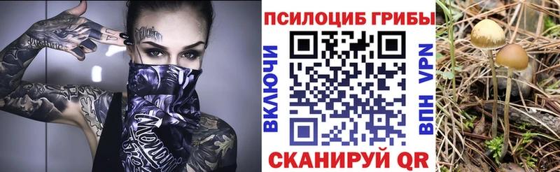 Галлюциногенные грибы Psilocybine cubensis  Оха 